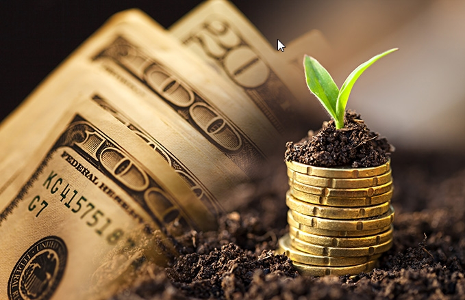 擔(dān)保公司轉(zhuǎn)讓需要的資料有哪些?